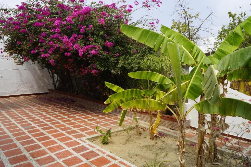 Hotel Mar Di Plata 巴兰基亚 外观 照片